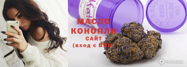 молекула духа Горнозаводск