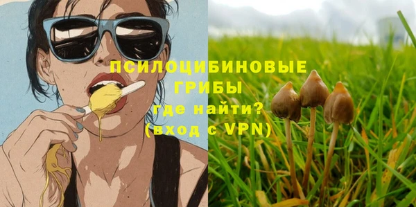 молекула духа Горнозаводск